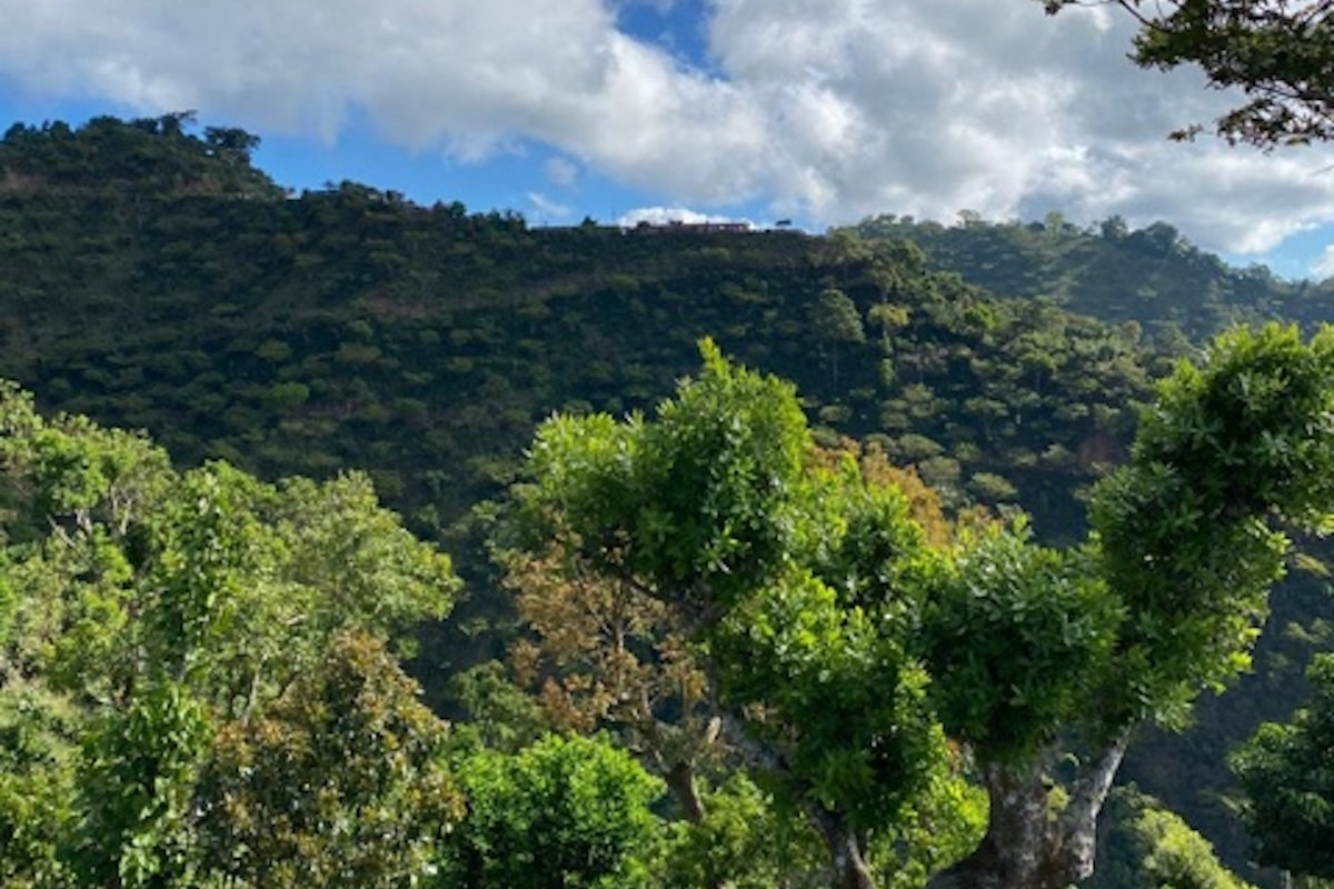 El Salvador — Carlos Escobar