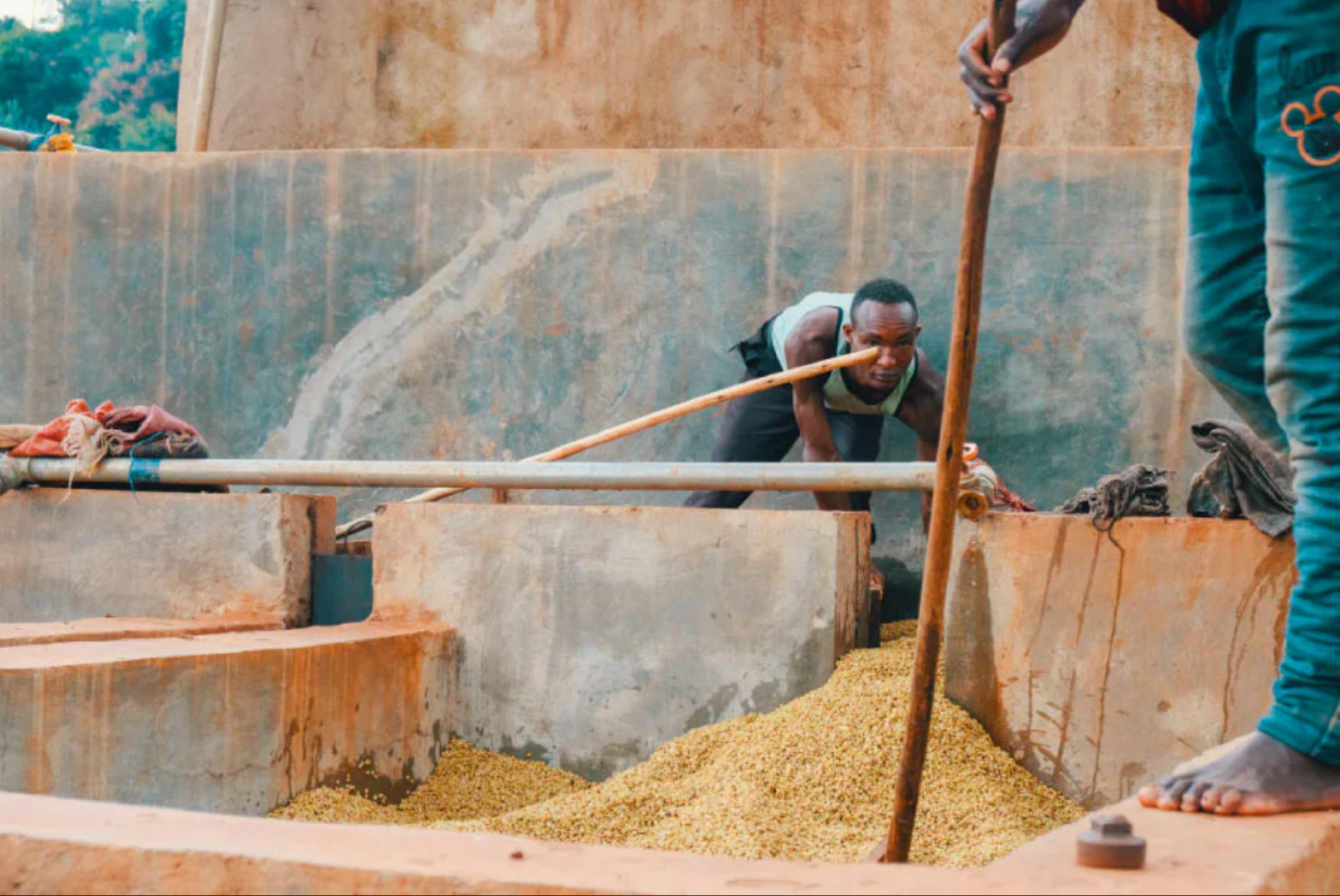 Ethiopia — Hada Molecha