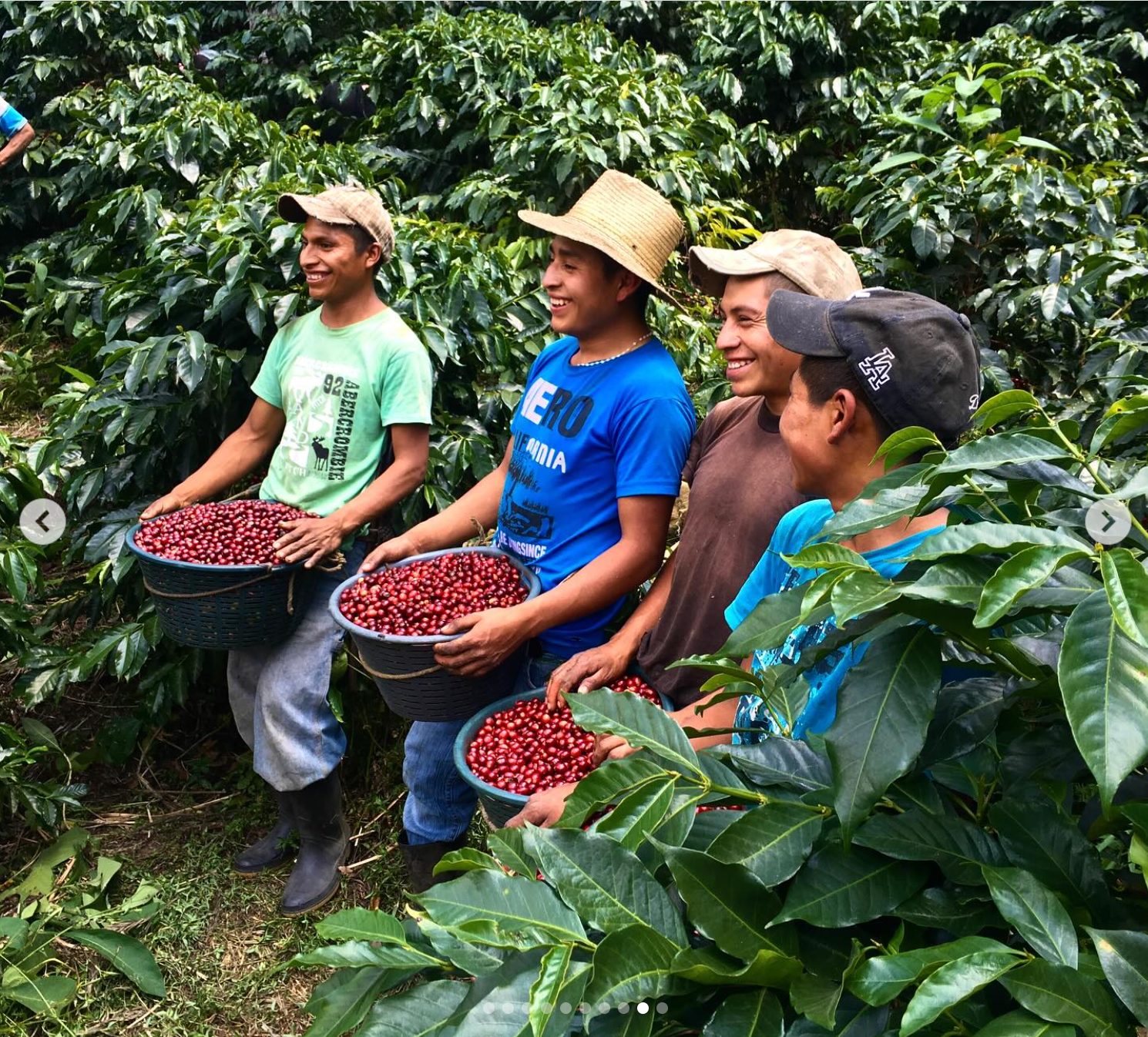 Guatemala — Linda Vista Black Honey