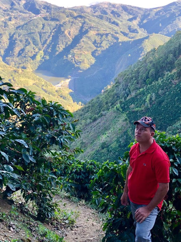 Costa Rica — Yellow Honey Microlot