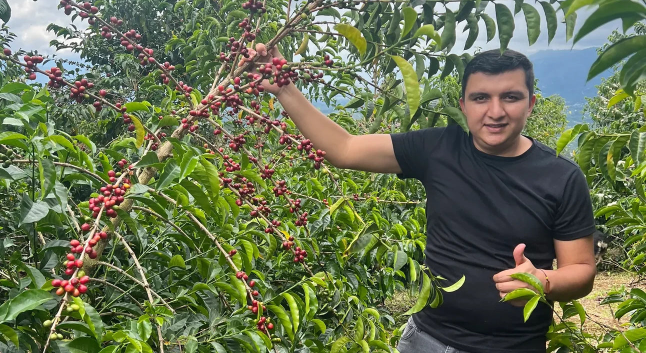 Colombia –– Nestor's Bourbon Ají Thermal Shock