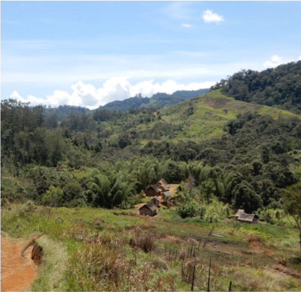 Papua New Guinea — Kindeng