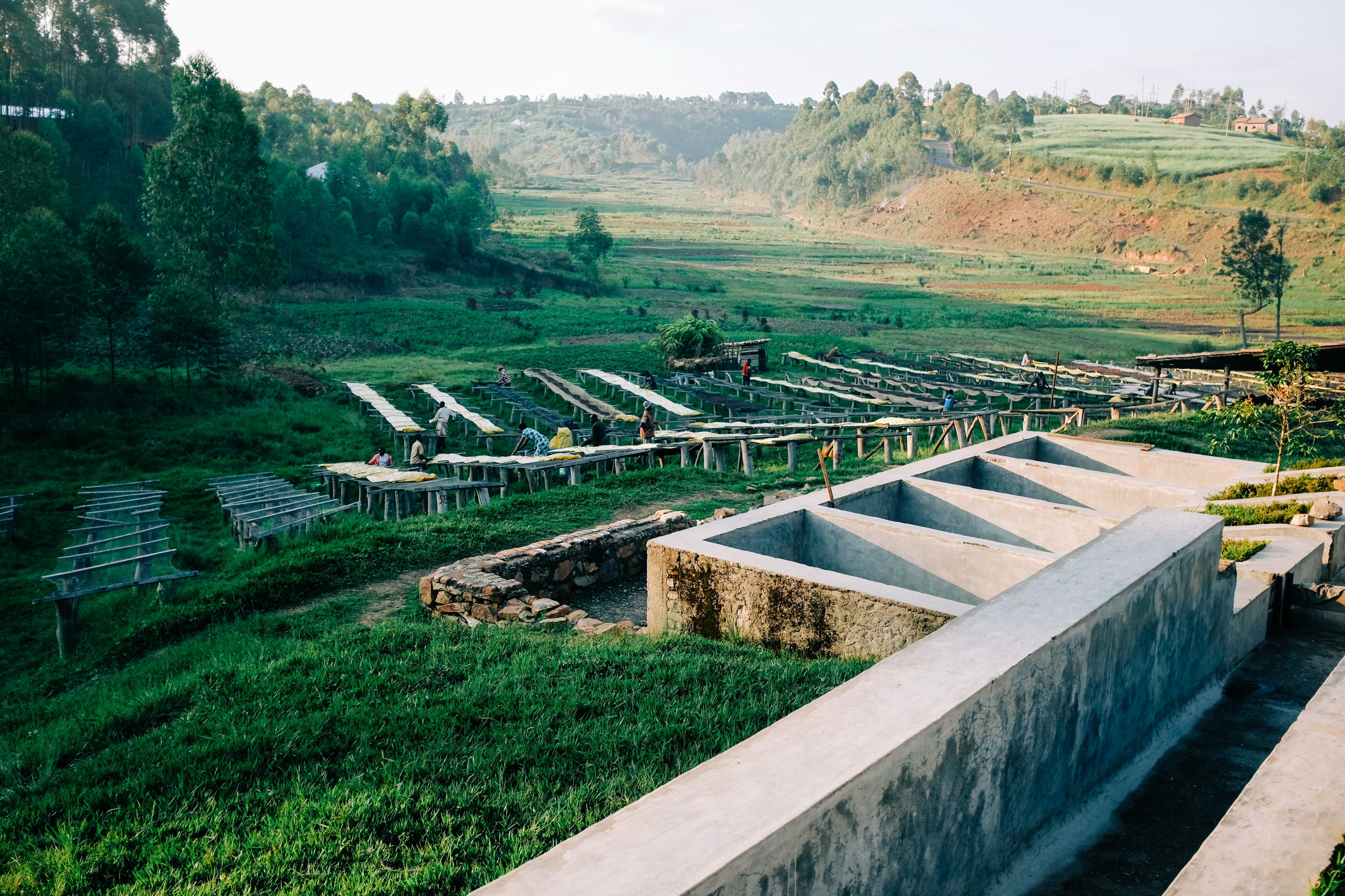Burundi — Umuco Natural