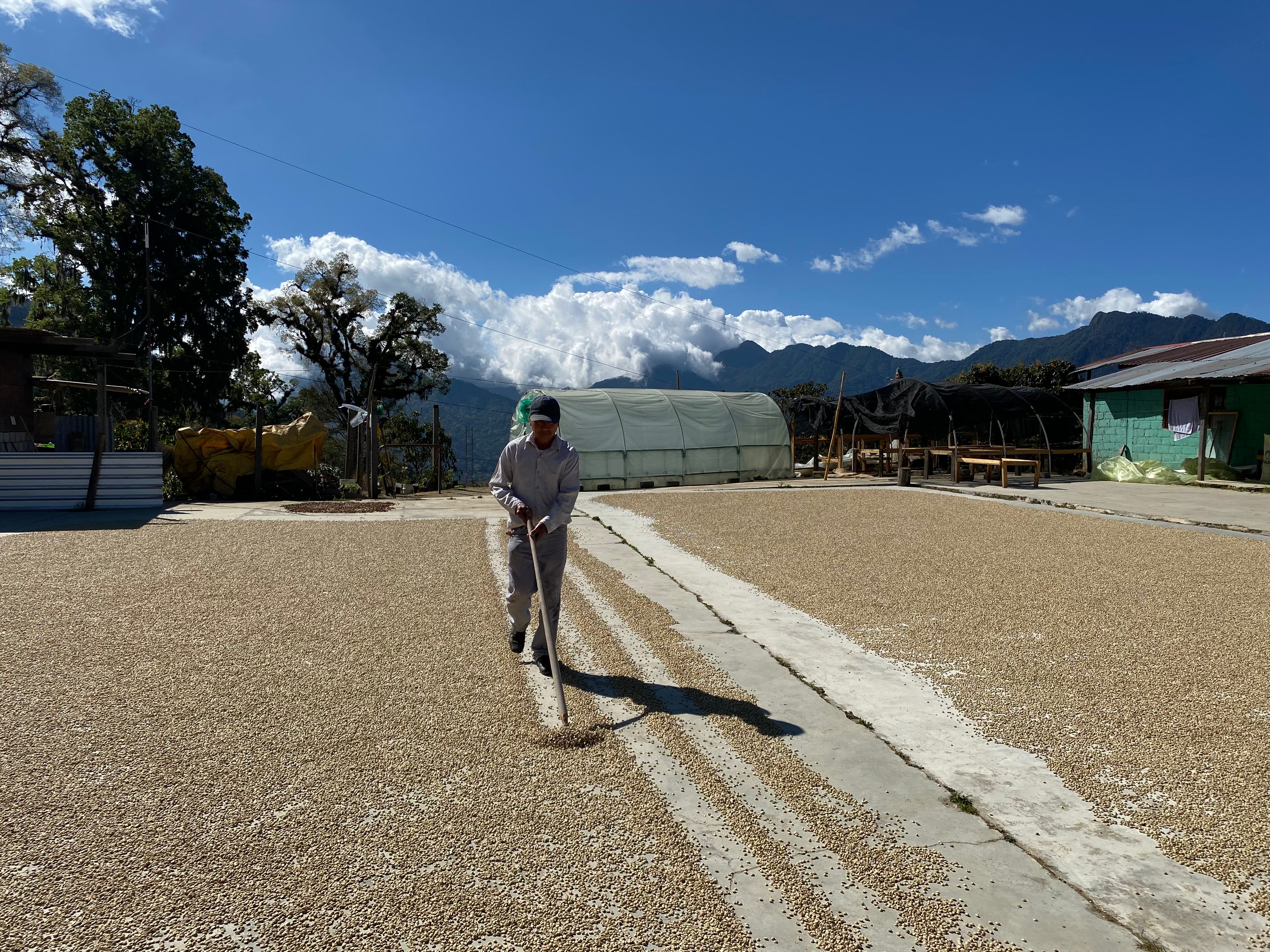 Mexico: Nuevo Paraiso