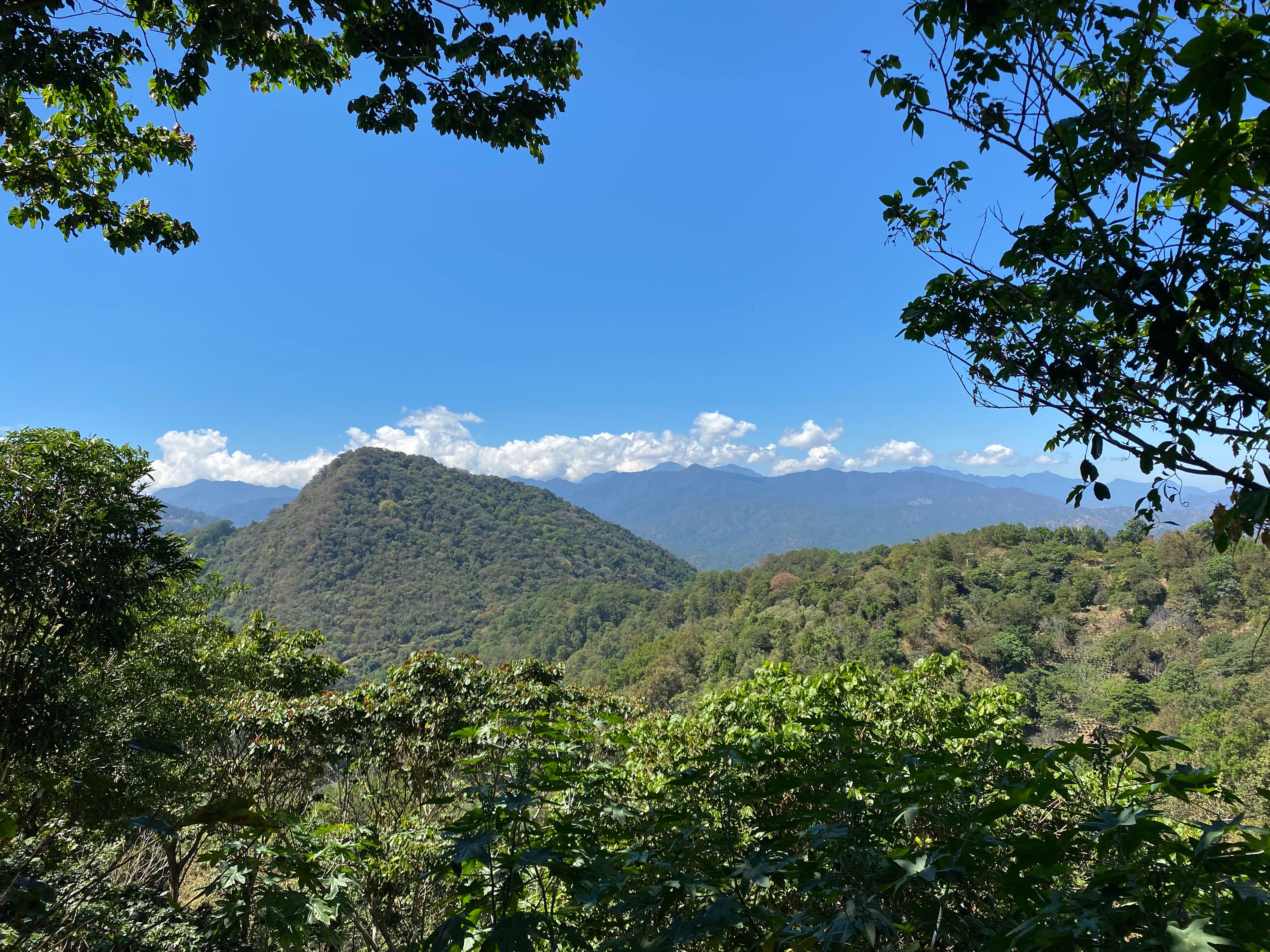 Mexico: Nuevo Paraiso