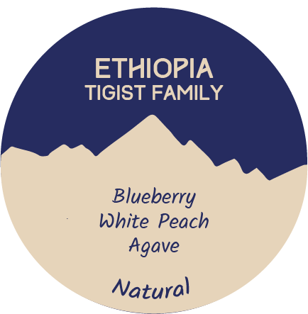 Ethiopia: Tigist Family
