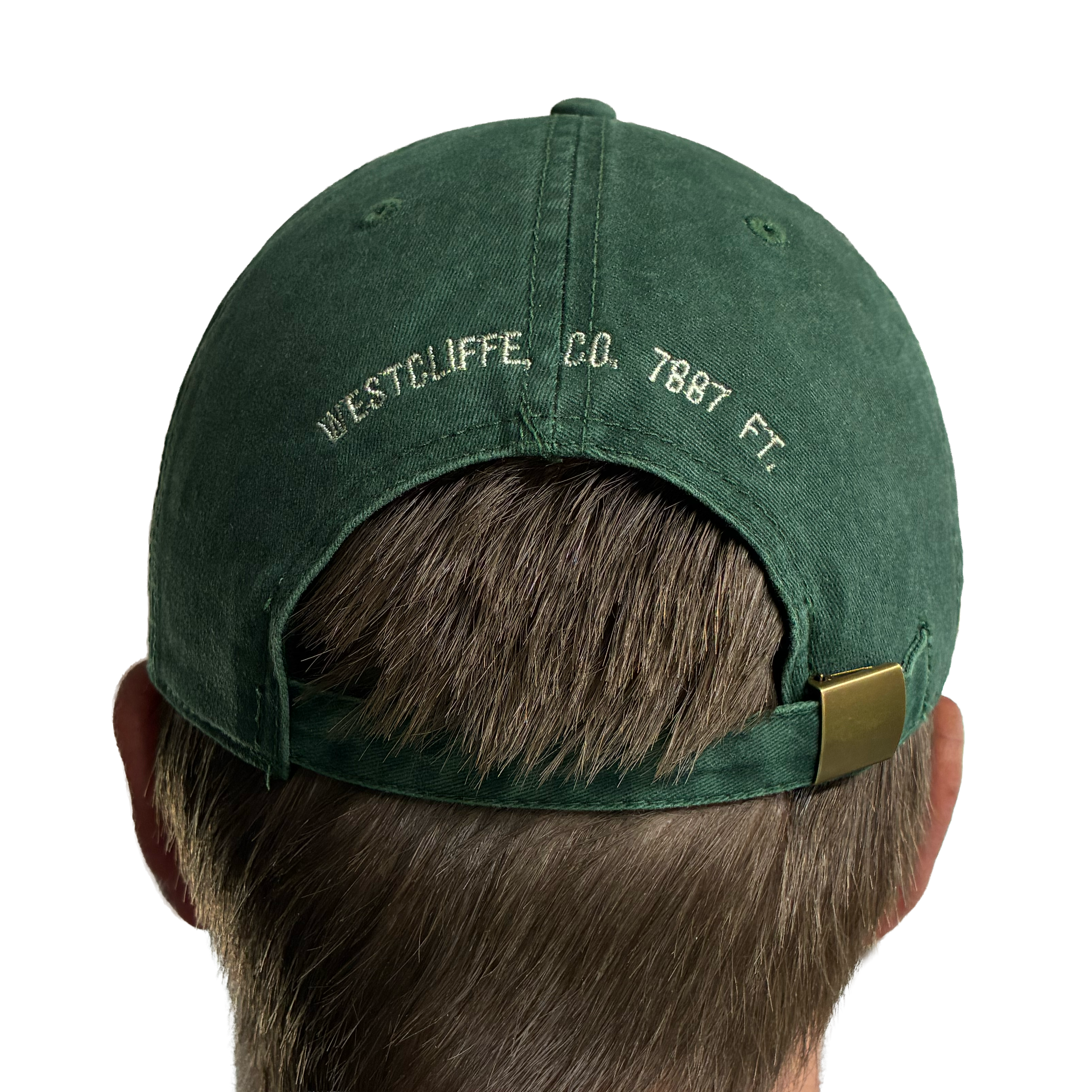 Peregrine Dad Hat
