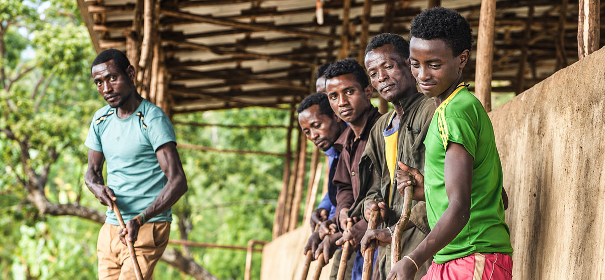 Ethiopia –– Yirgacheffe Chelbessa