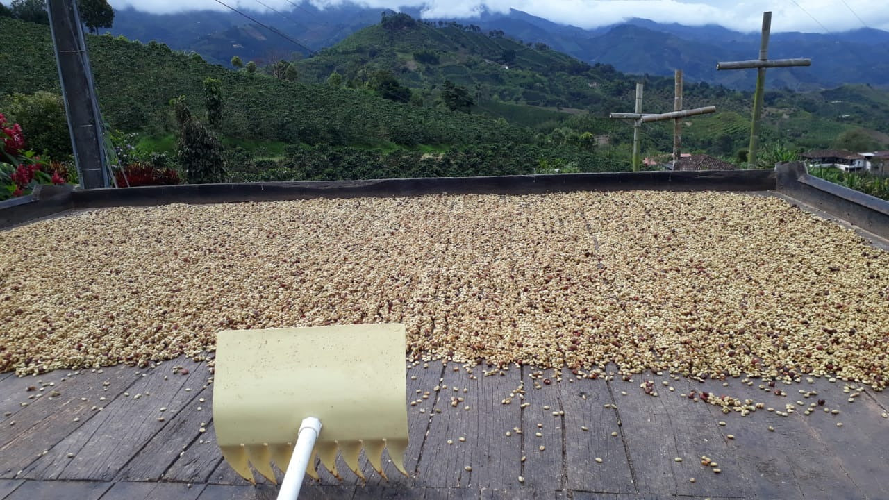Colombia — Red Honey Microlot