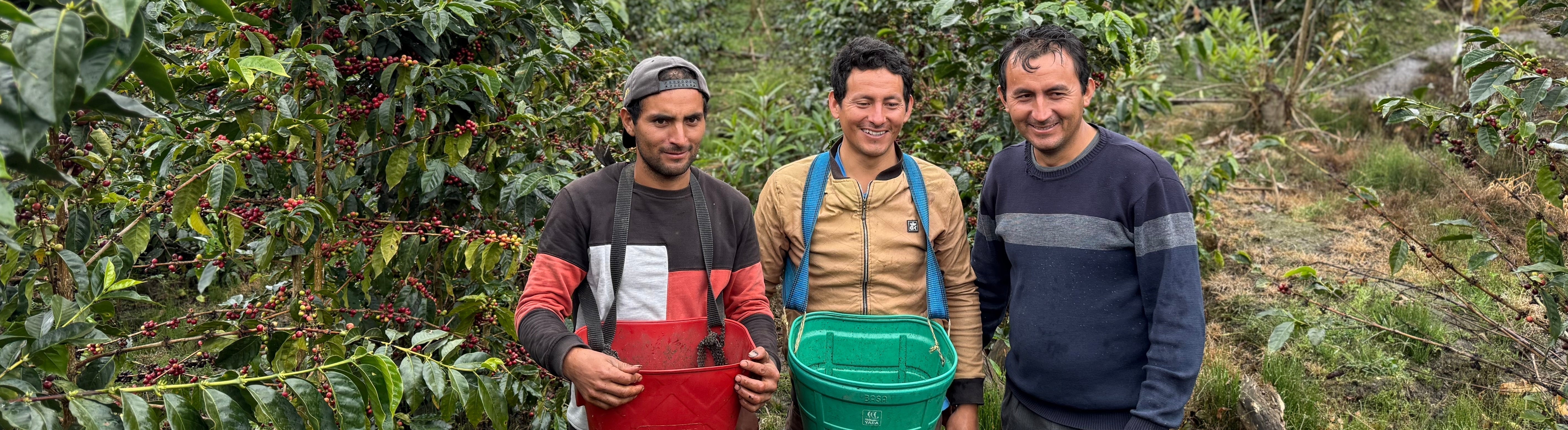 Peru –– Joel Marin Mires's Natural Gesha