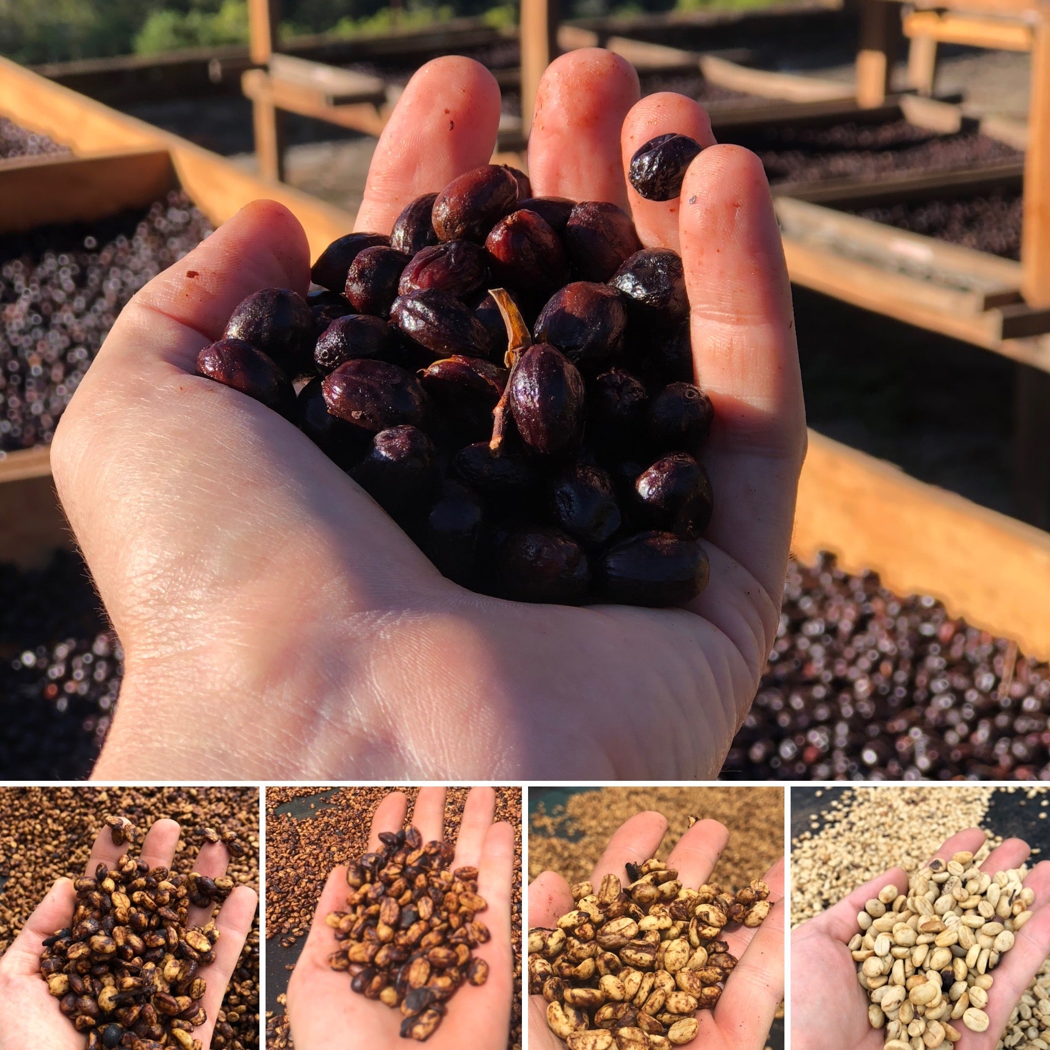 El Salvador — Villa Sarchi