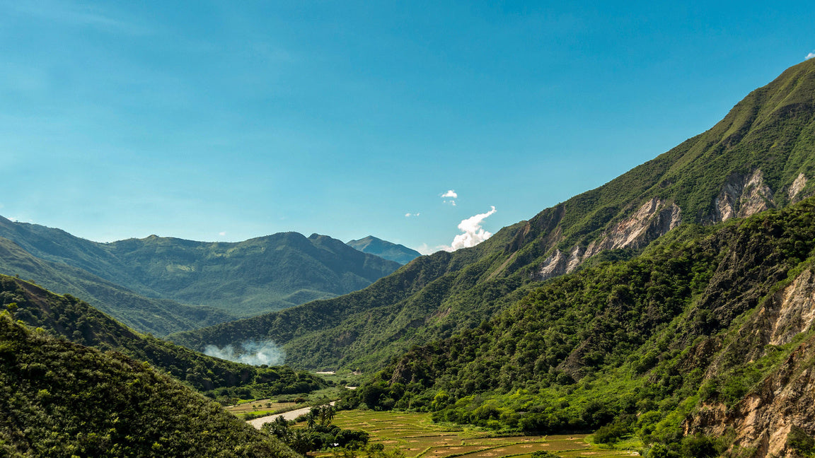 Peru –– La Vicuña