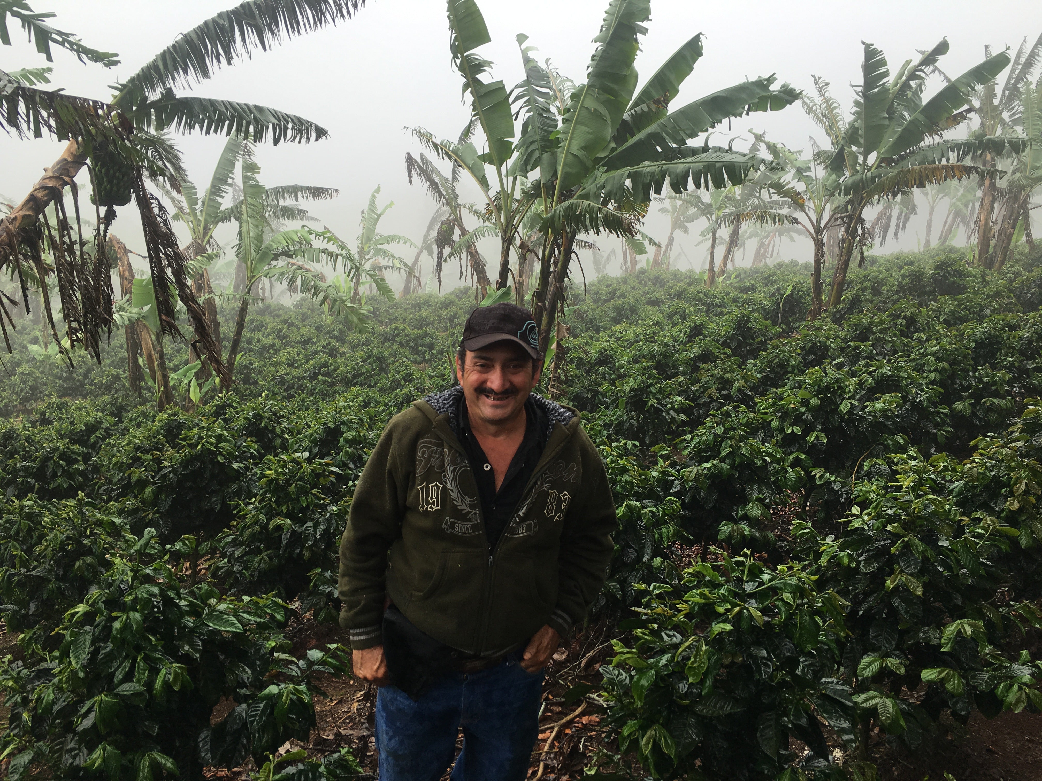 Non-Chemical Processed Decaf