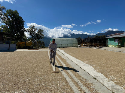 Mexico: Nuevo Paraiso