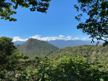Mexico: Nuevo Paraiso