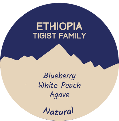 Ethiopia: Tigist Family