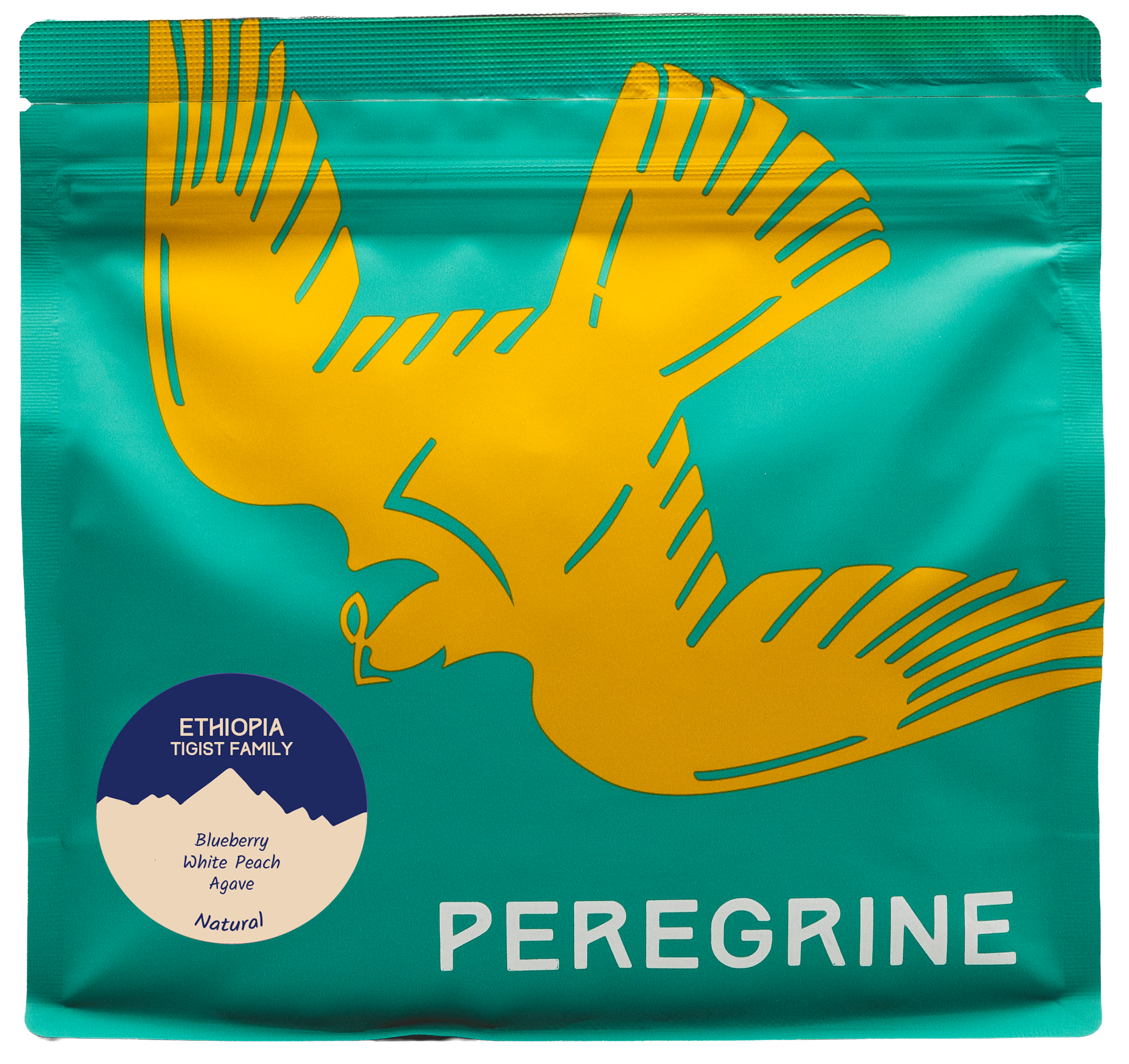 Ethiopia: Tigist Family