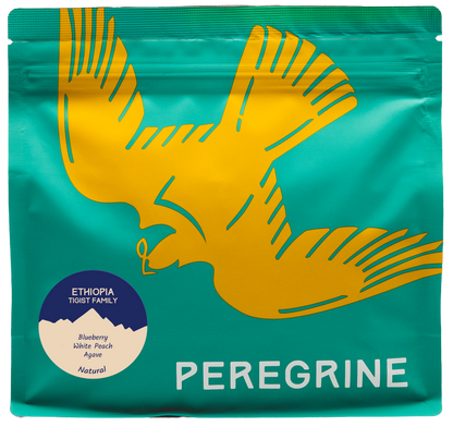 Ethiopia: Tigist Family