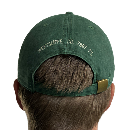 Peregrine Dad Hat