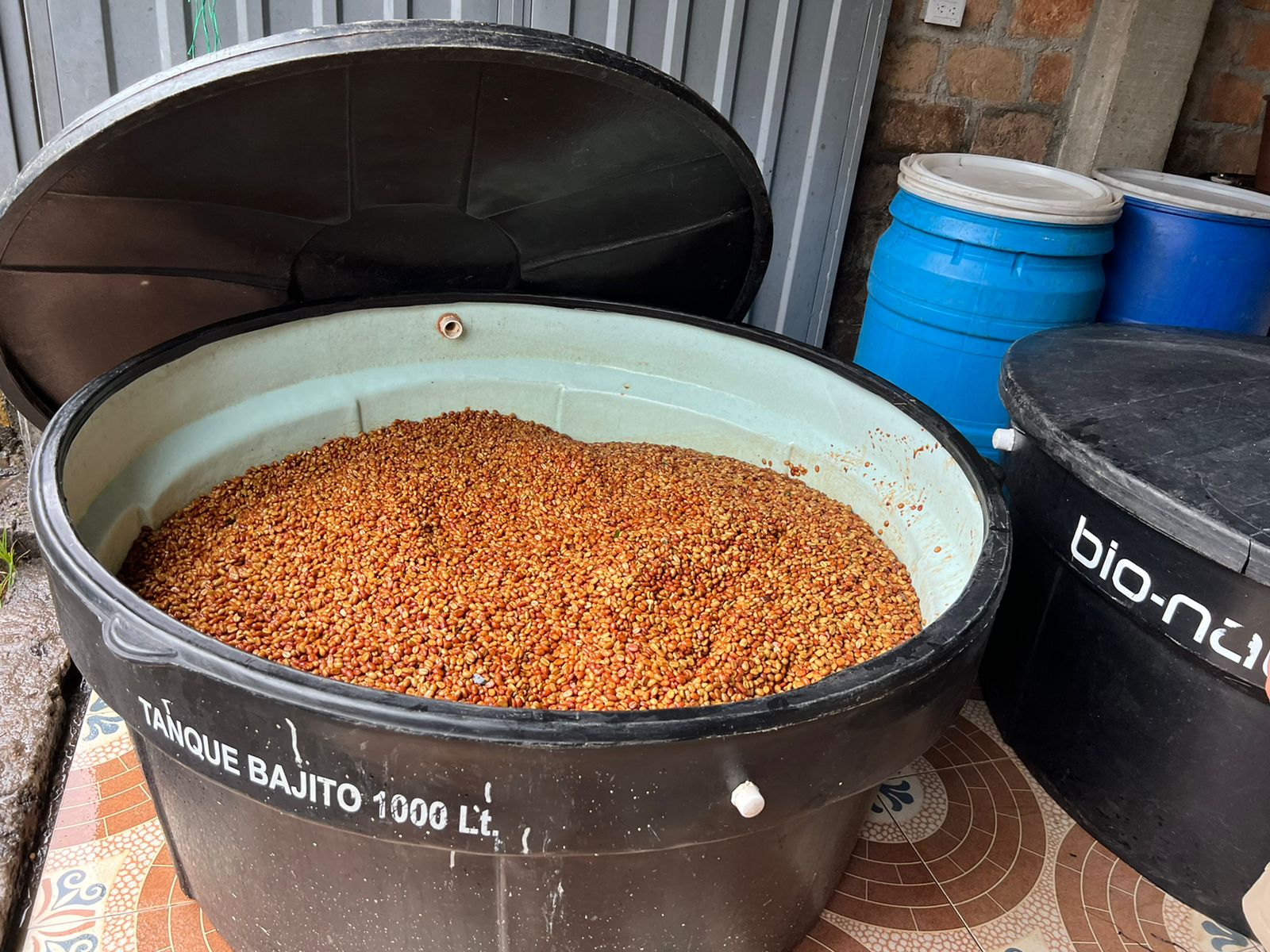 Nestor's Bourbon Ají Thermal Shock