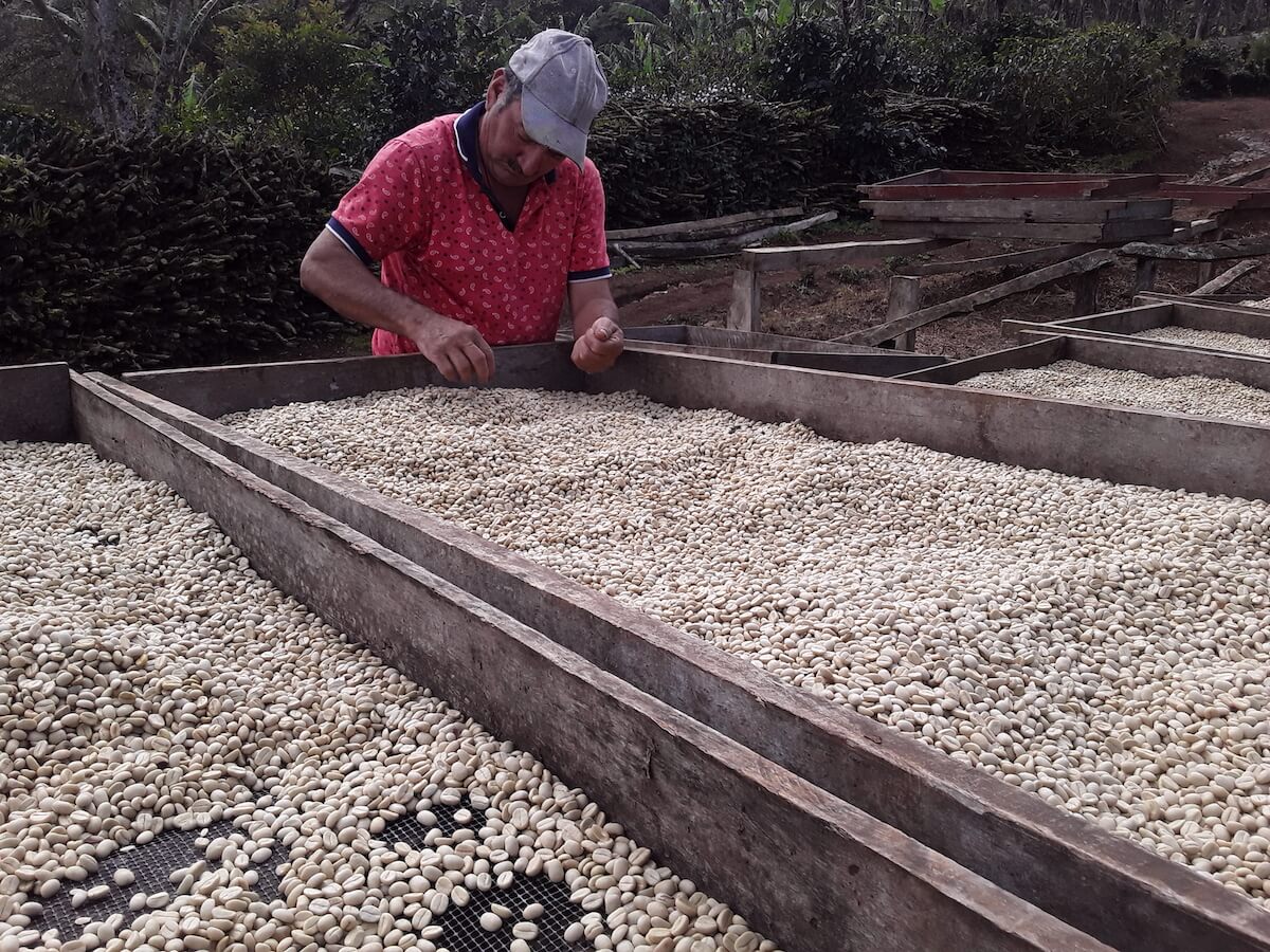 Guatemala Coffee Farm